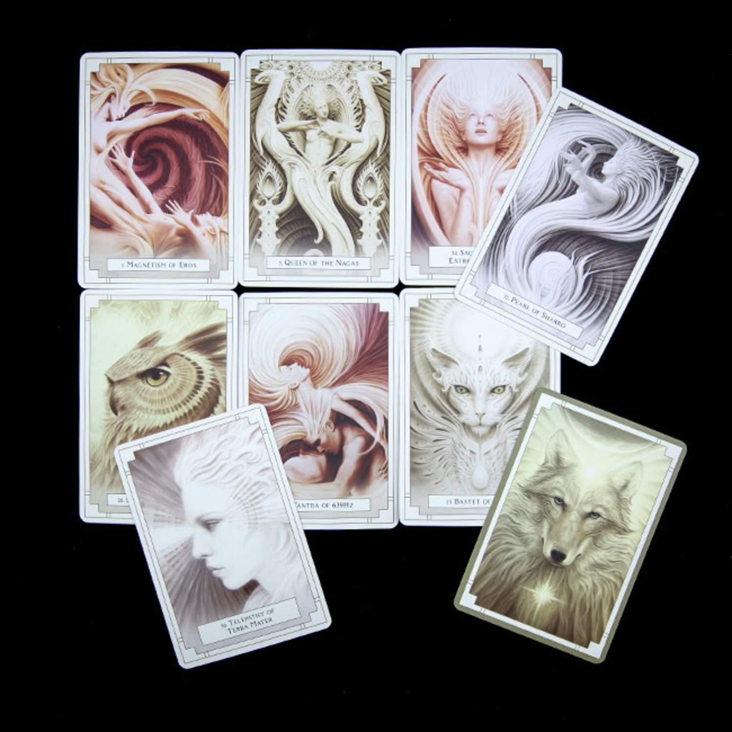 White Light Oracle White Light Oracle