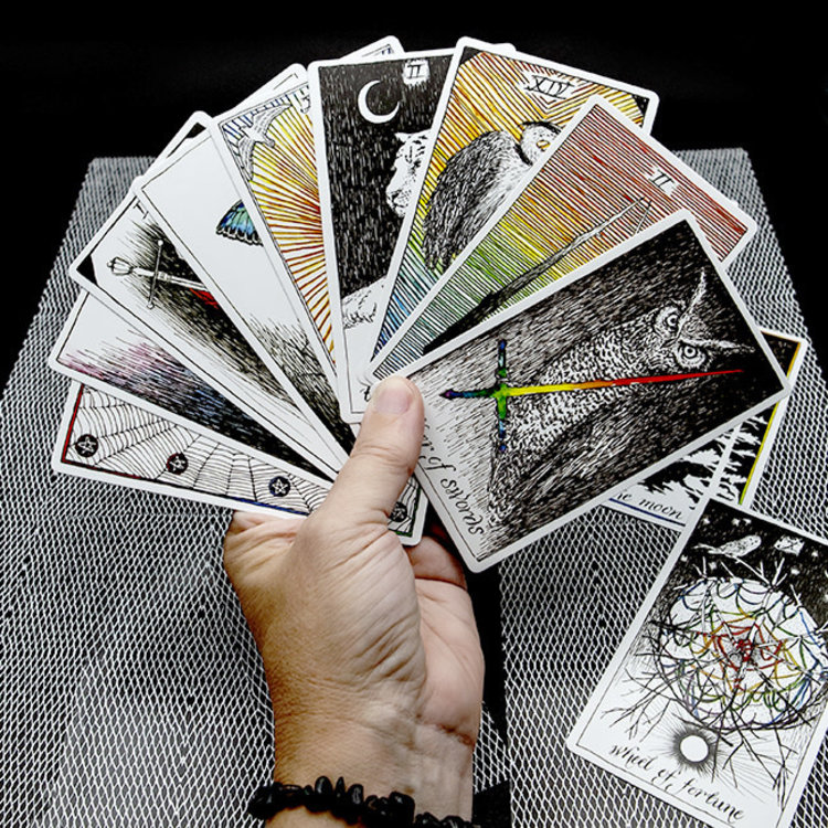 Wild Unknown Tarot Deck