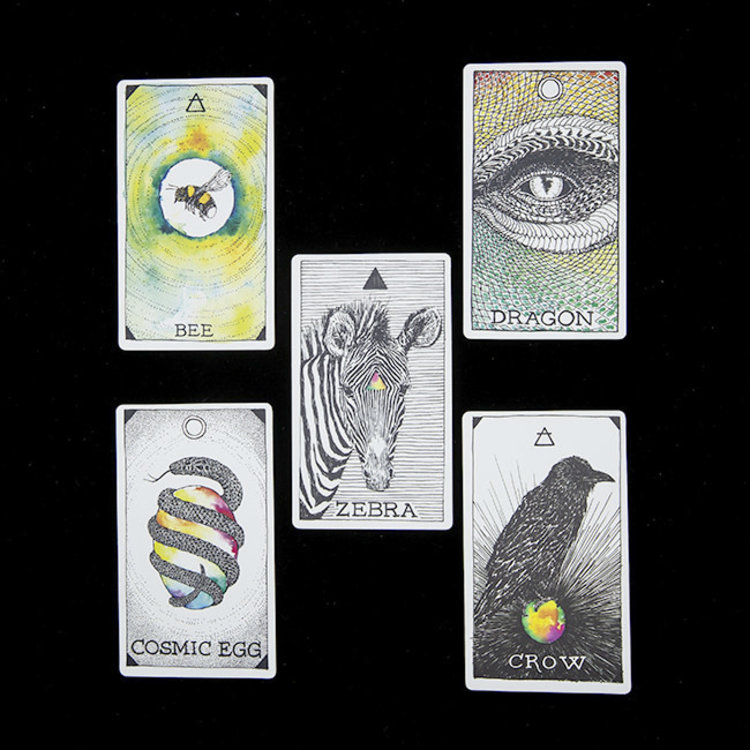 Wild Unknown Animal Spirit Deck