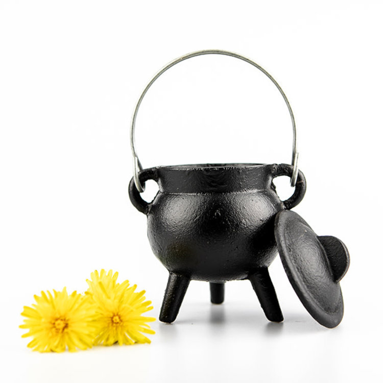 Small Black Cauldron with Lid
