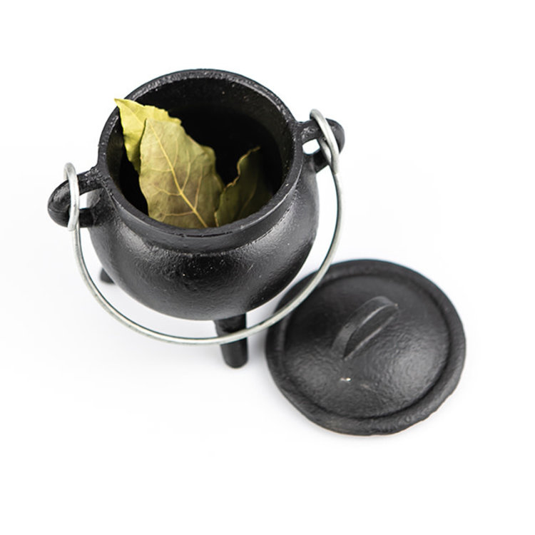 Small Black Cauldron with Lid