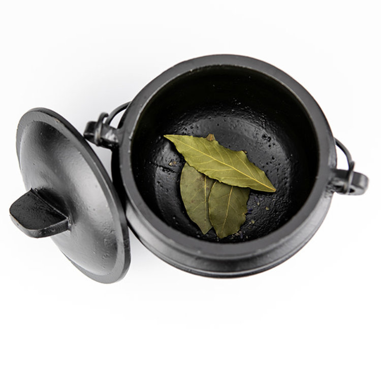 Cauldron Cast Iron with Lid 6.25 in.