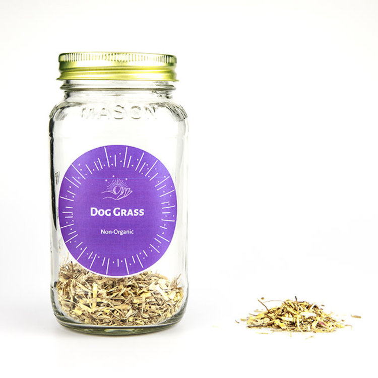 Dog Grass Non-Organic 1 oz