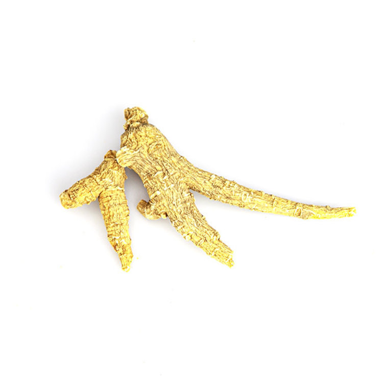 Ginseng Root American 4 Year Organic 1 oz