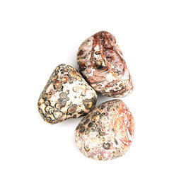 Leopard Skin Jasper Extra Large Tumbled Stone