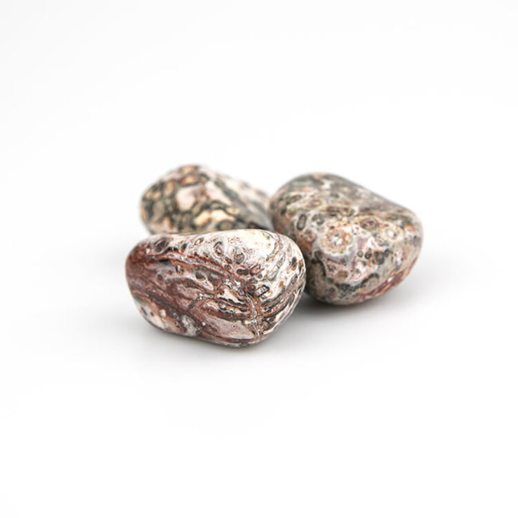 Leopard Skin Jasper Extra Large Tumbled Stone