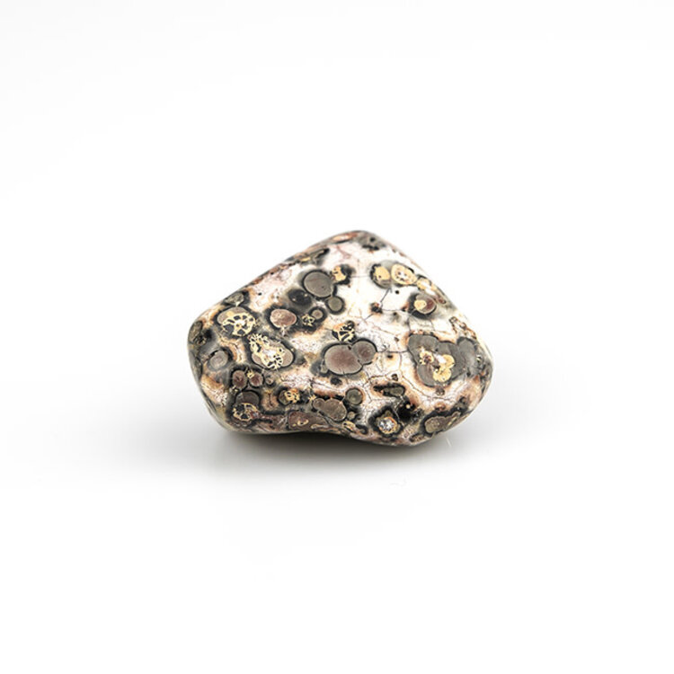 Leopard Skin Jasper Extra Large Tumbled Stone