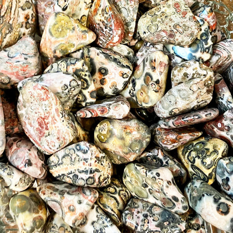 Leopard Skin Jasper Medium Tumbled Stone