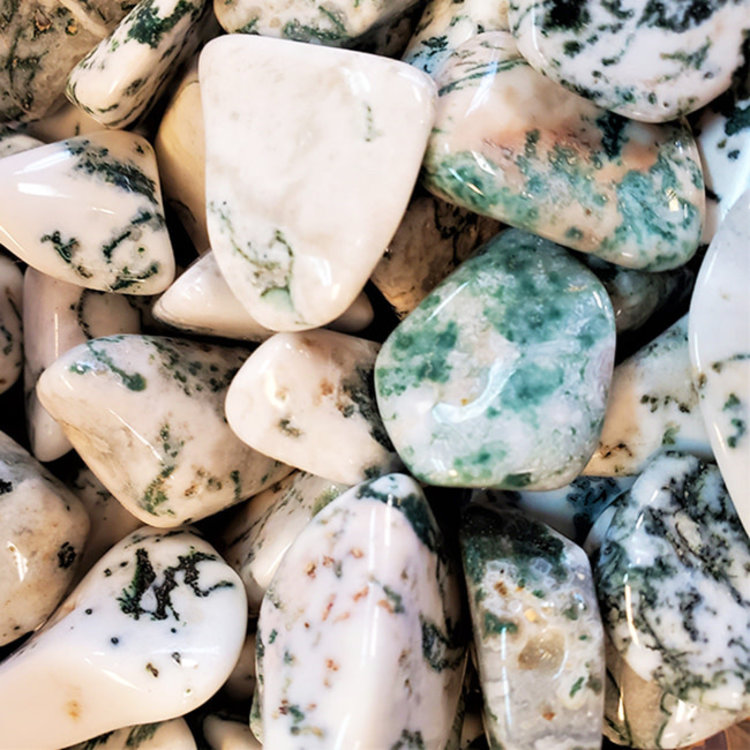 Tree Lace Agate Medium Tumbled Stone