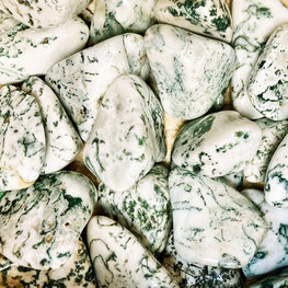 Tree Lace Agate Extra Large Tumbled Stone