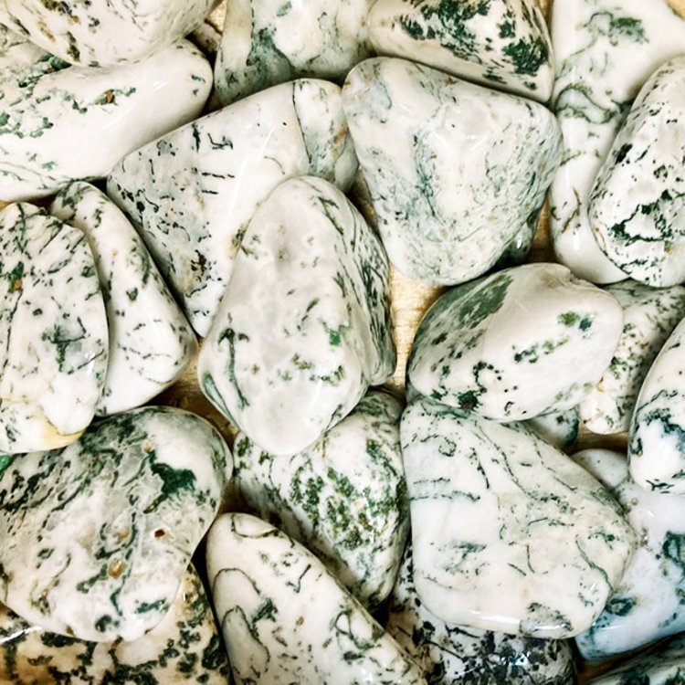 Tree Lace Agate Extra Large Tumbled Stone