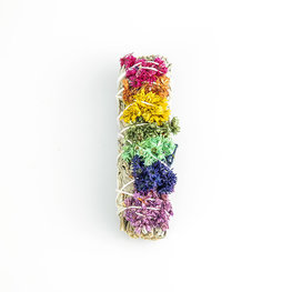 White Sage Small Chakra Bundle