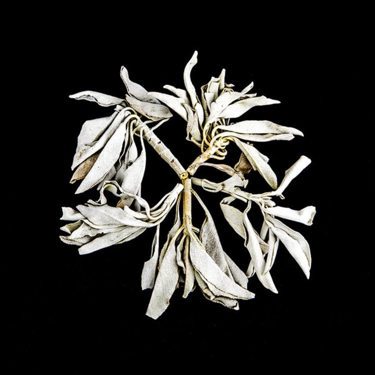 Loose White Sage 1 oz