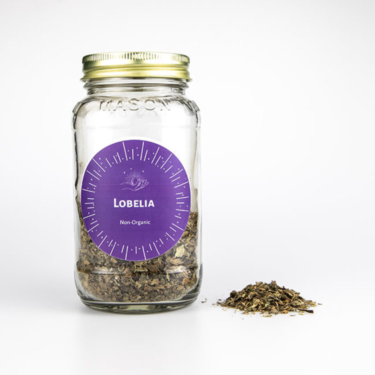 Lobelia Non-Organic 1 oz