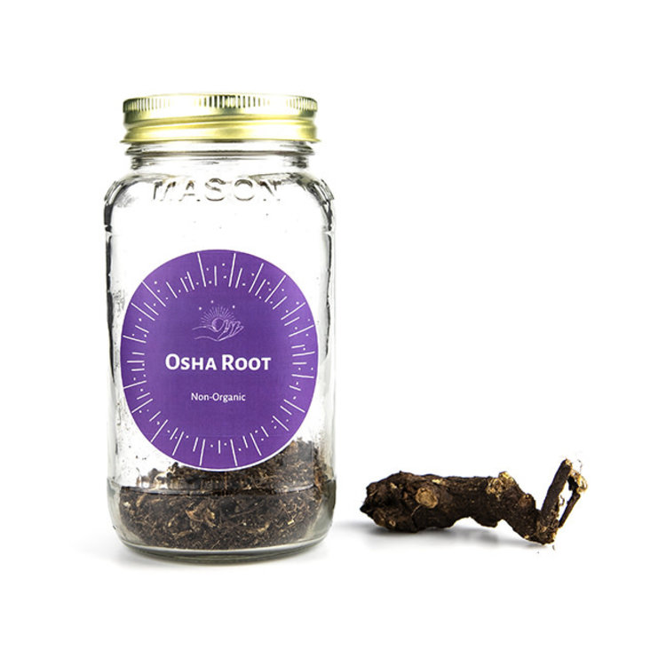 Osha Root Whole Kosher Certified 1 oz