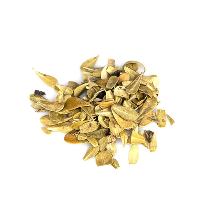 Frontier Co- op Uva Ursi Leaf Non-Organic 1 oz (AKA Bearberry)