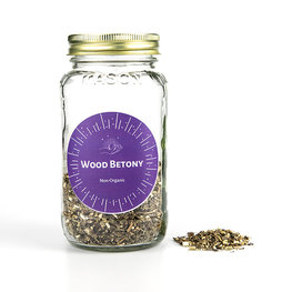 Wood Betony Non-Organic 1 oz