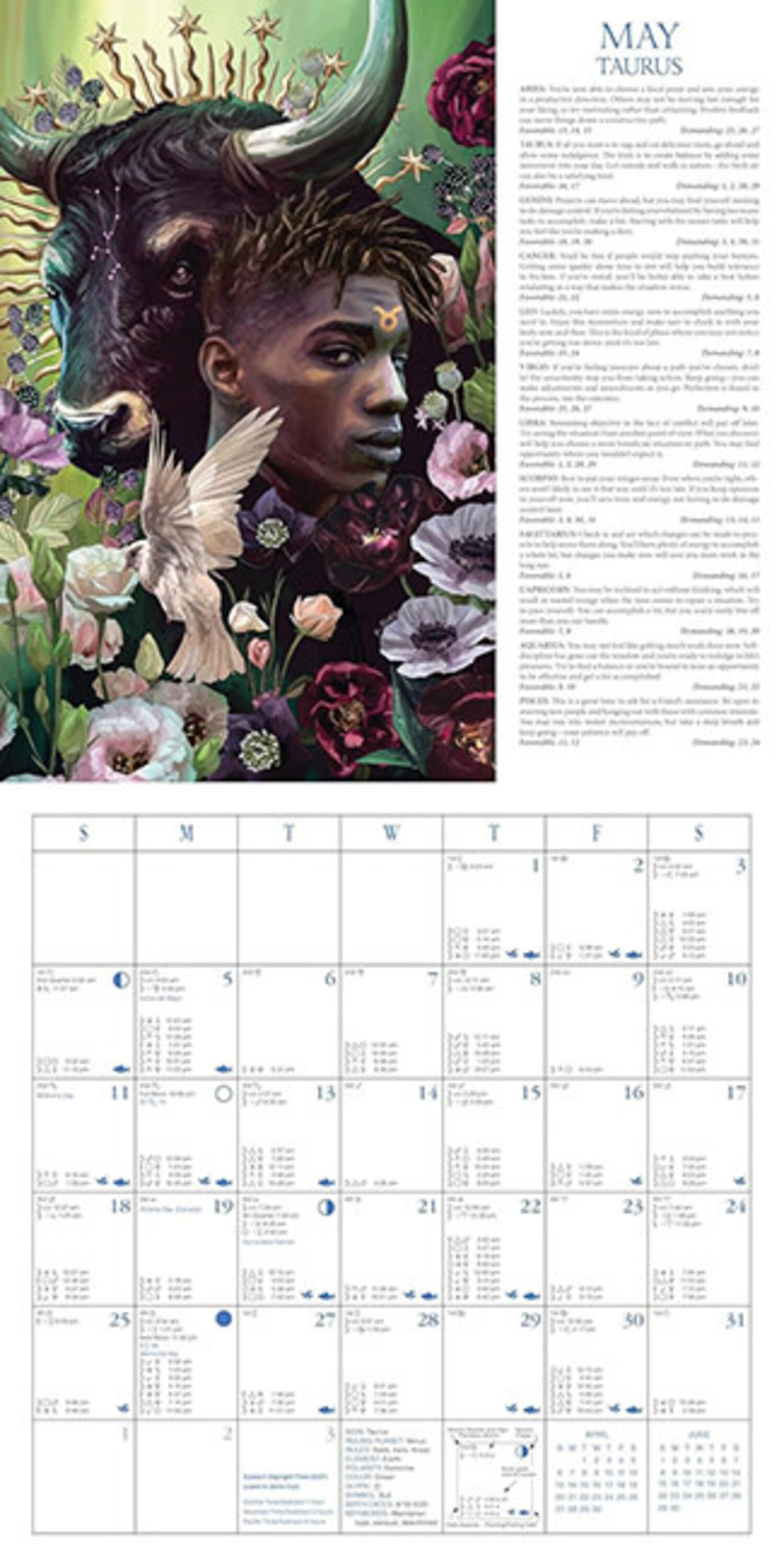 その他 Astrology: The Daily Love Calendar 2025 Llewellyn's Astrological Wall Calendar - Mystic Valley