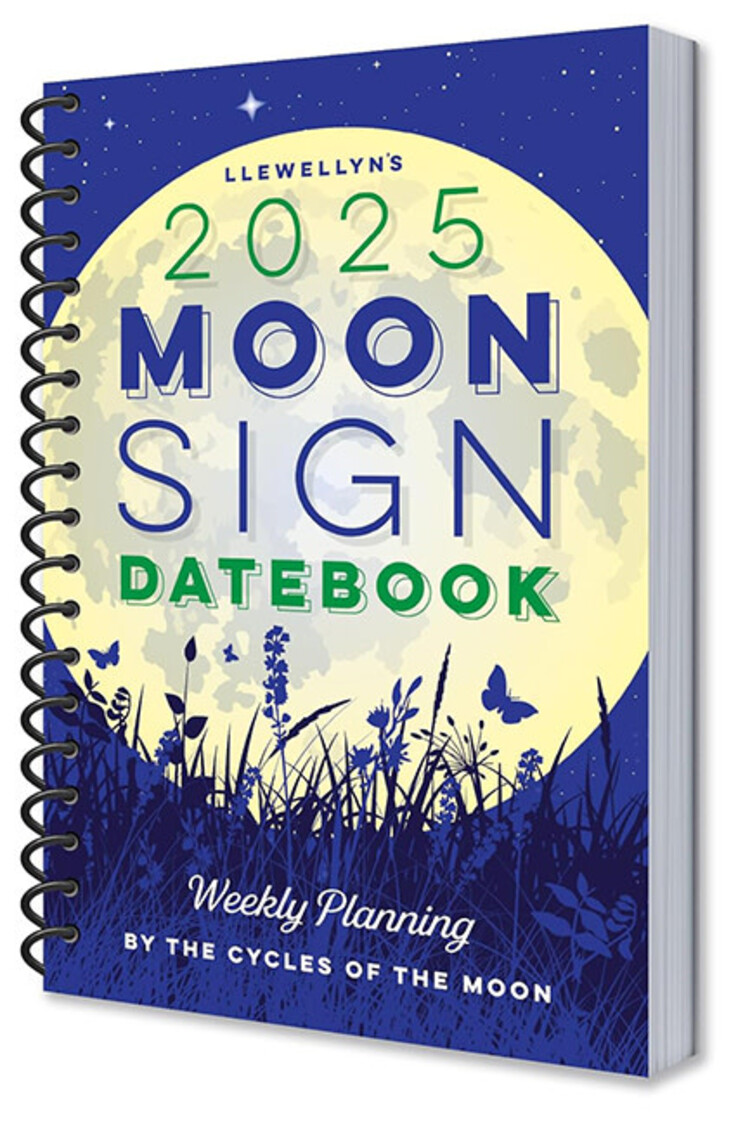 2025 Llewellyn's Moon Sign Datebook