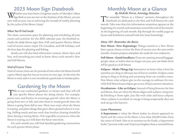2025 Llewellyn's Moon Sign Datebook