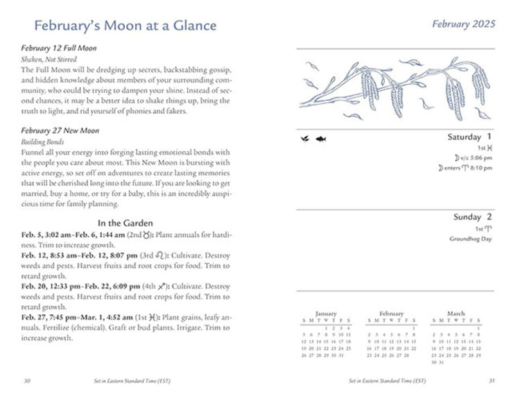 2025 Llewellyn's Moon Sign Datebook