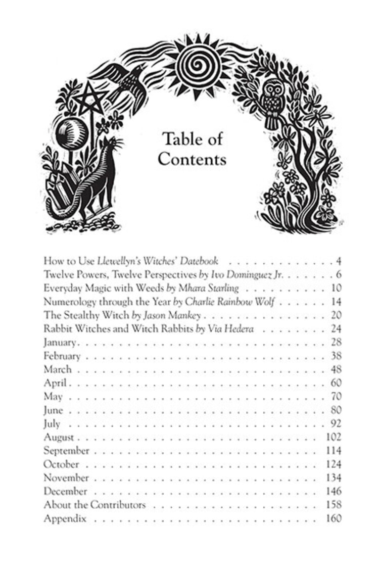 2025 Llewellyn's Witches' Datebook