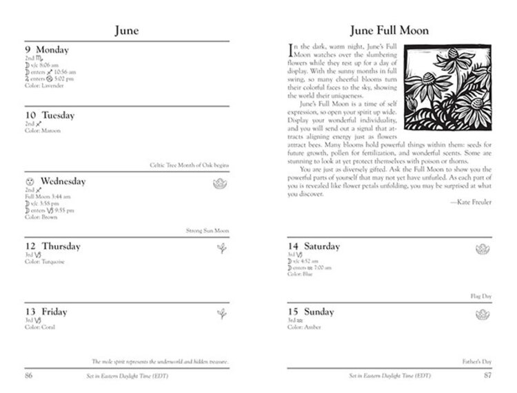 2025 Llewellyn's Witches' Datebook