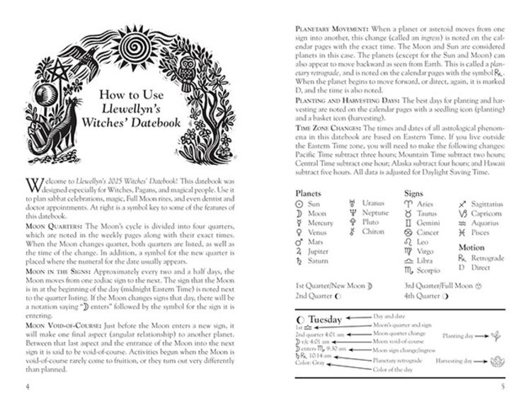 2025 Llewellyn's Witches' Datebook