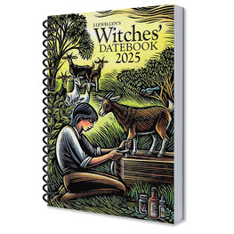 2025 Llewellyn's Witches' Datebook