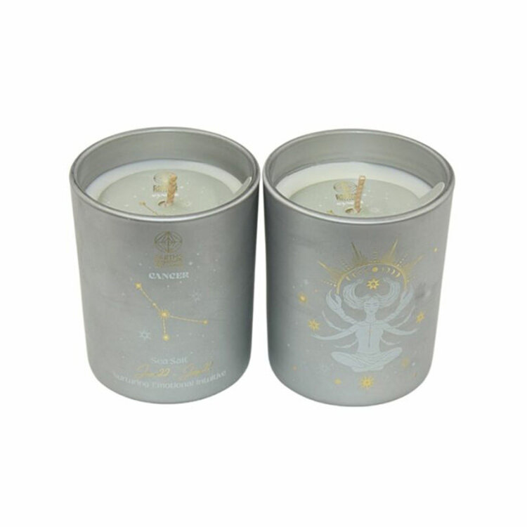 Earth's Elements Wellness Zodiac Candle