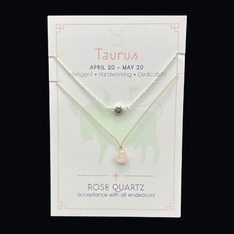 Silver Sparrow Jewelry Zodiac Necklace Set