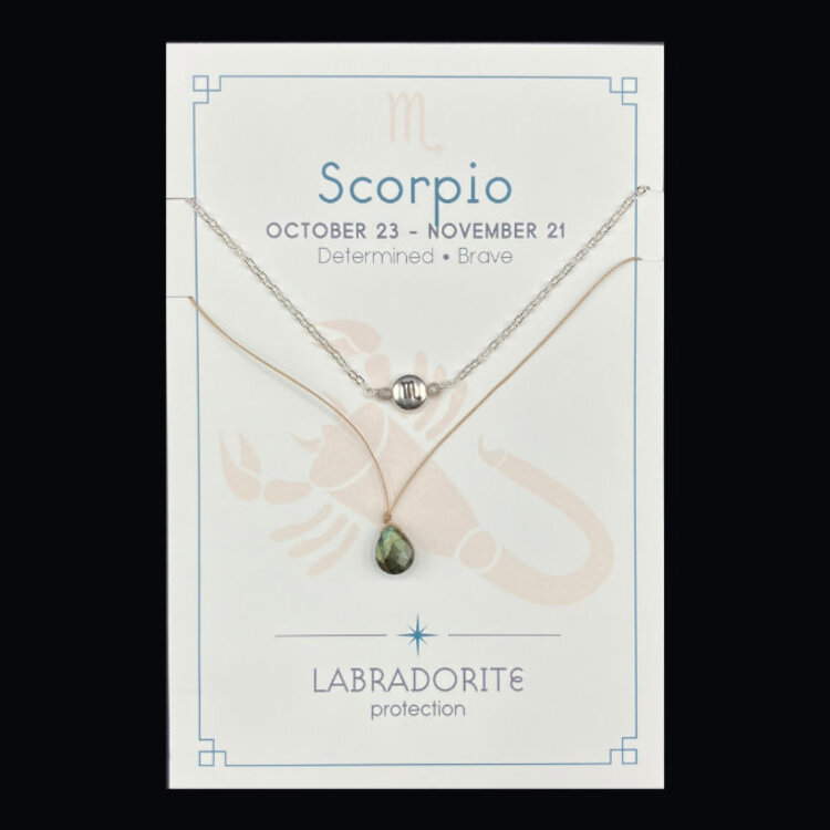 Silver Sparrow Jewelry Zodiac Necklace Set