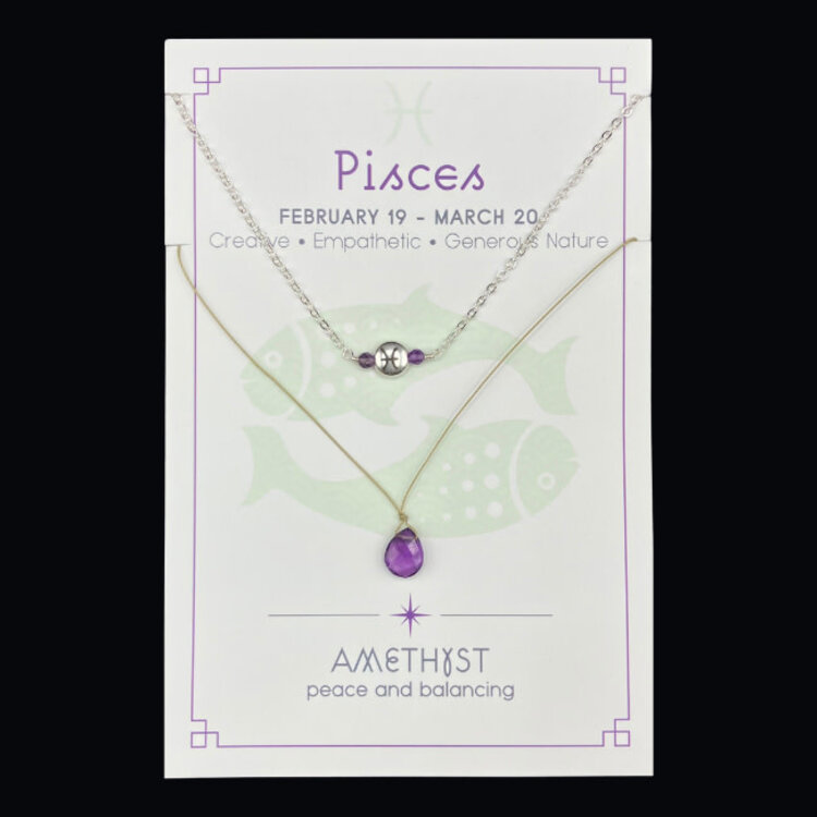 Silver Sparrow Jewelry Zodiac Necklace Set