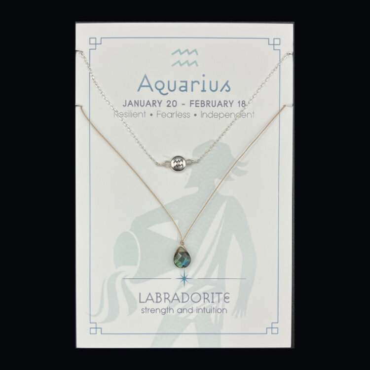 Silver Sparrow Jewelry Zodiac Necklace Set