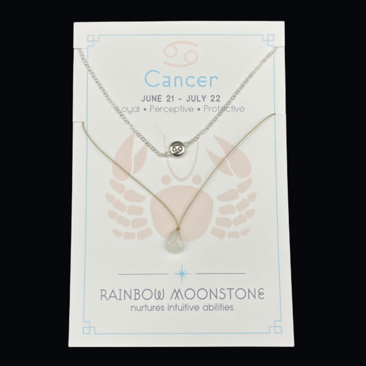 Silver Sparrow Jewelry Zodiac Necklace Set