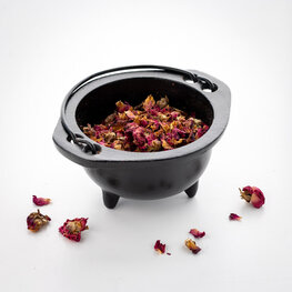 Cauldron Cast Iron Plain Large 6 in. x 5 in.