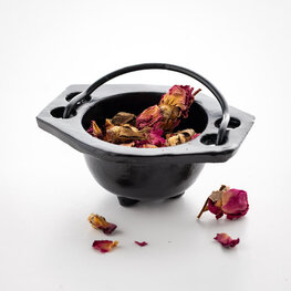 Cauldron Cast Iron Plain 4 in.  x 3 in.