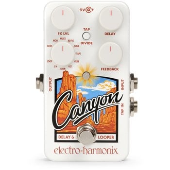Electro-Harmonix Canyon Delay & Looper