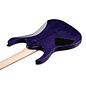Ibanez RG Standard 6-String Electric Guitar - Cerulean Blue Burst, RG421QMCBB (New for 2024)