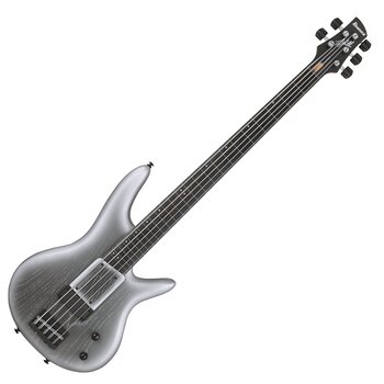 Ibanez Premium Gary Willis Signature 5-String Fretless Electric Bass w/Bag - Silver Wave Burst Flat (New for 2024)