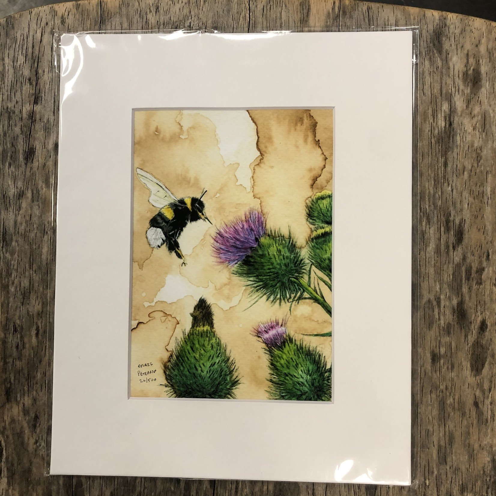 Craig Peterson Craig Peterson | Bumble bee & thistle coffee stained watercolor