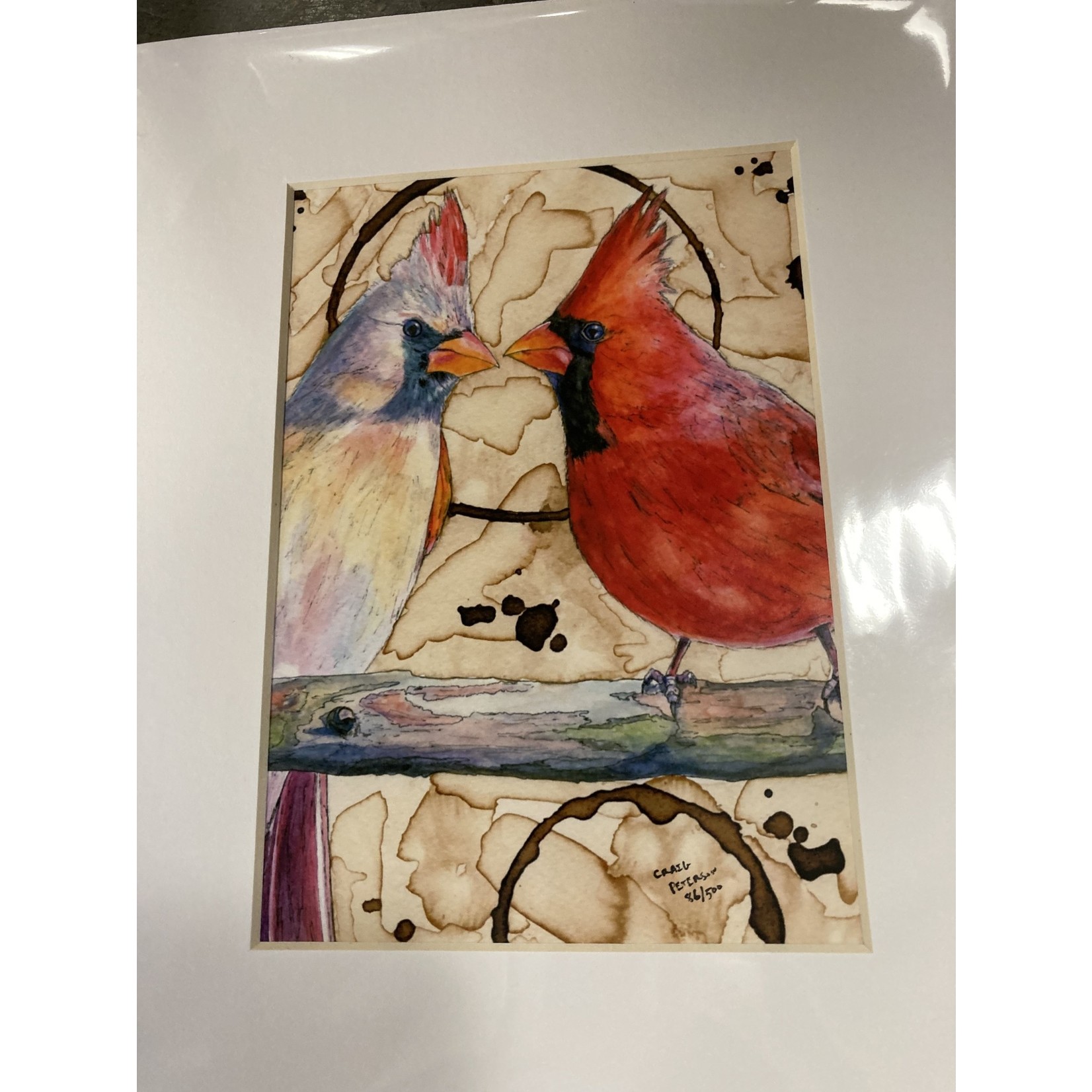 Craig Peterson Craig Peterson | 2 cardinals coffee stain watercolor
