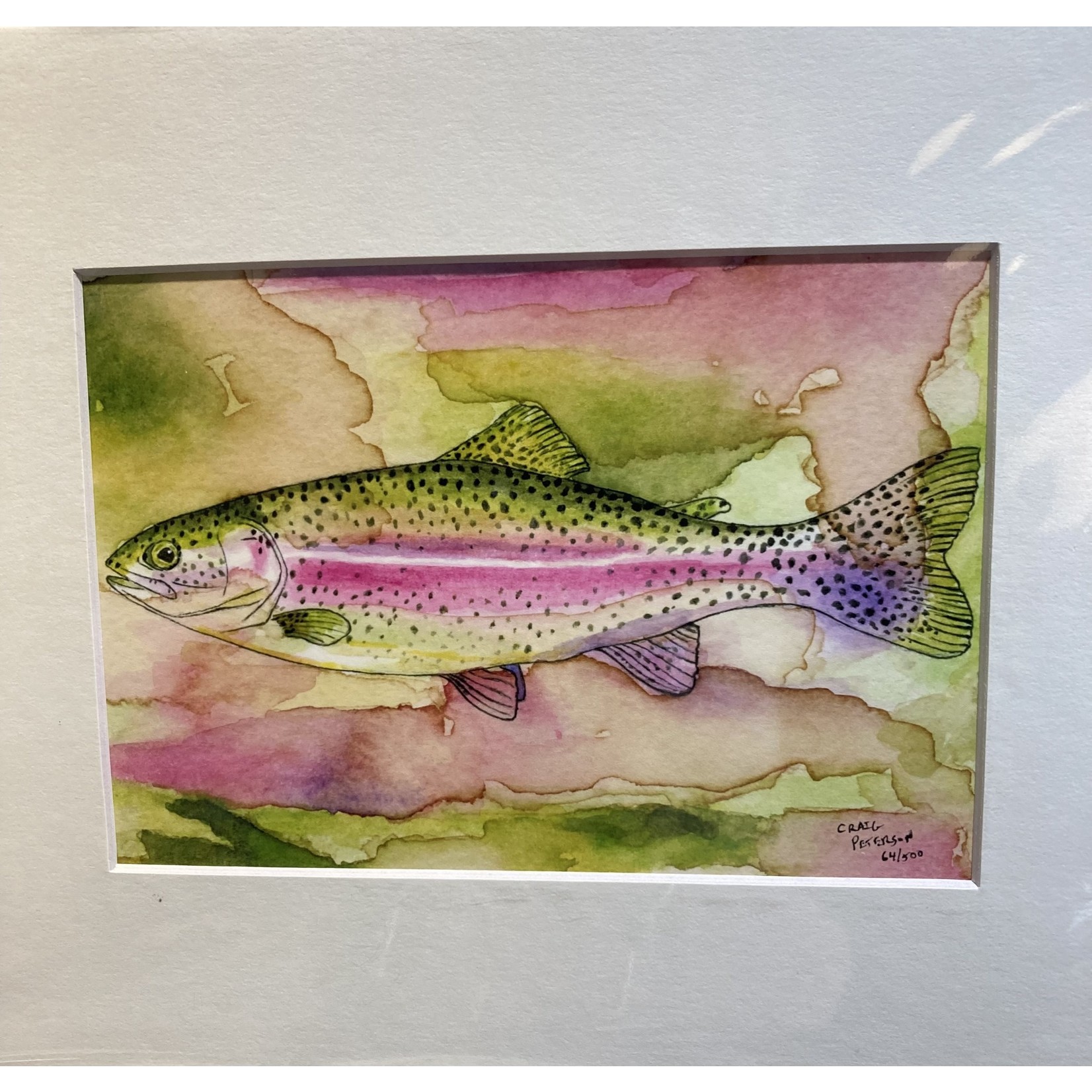 Craig Peterson Craig Peterson | Pink and Green Trout coffee stain watercolor