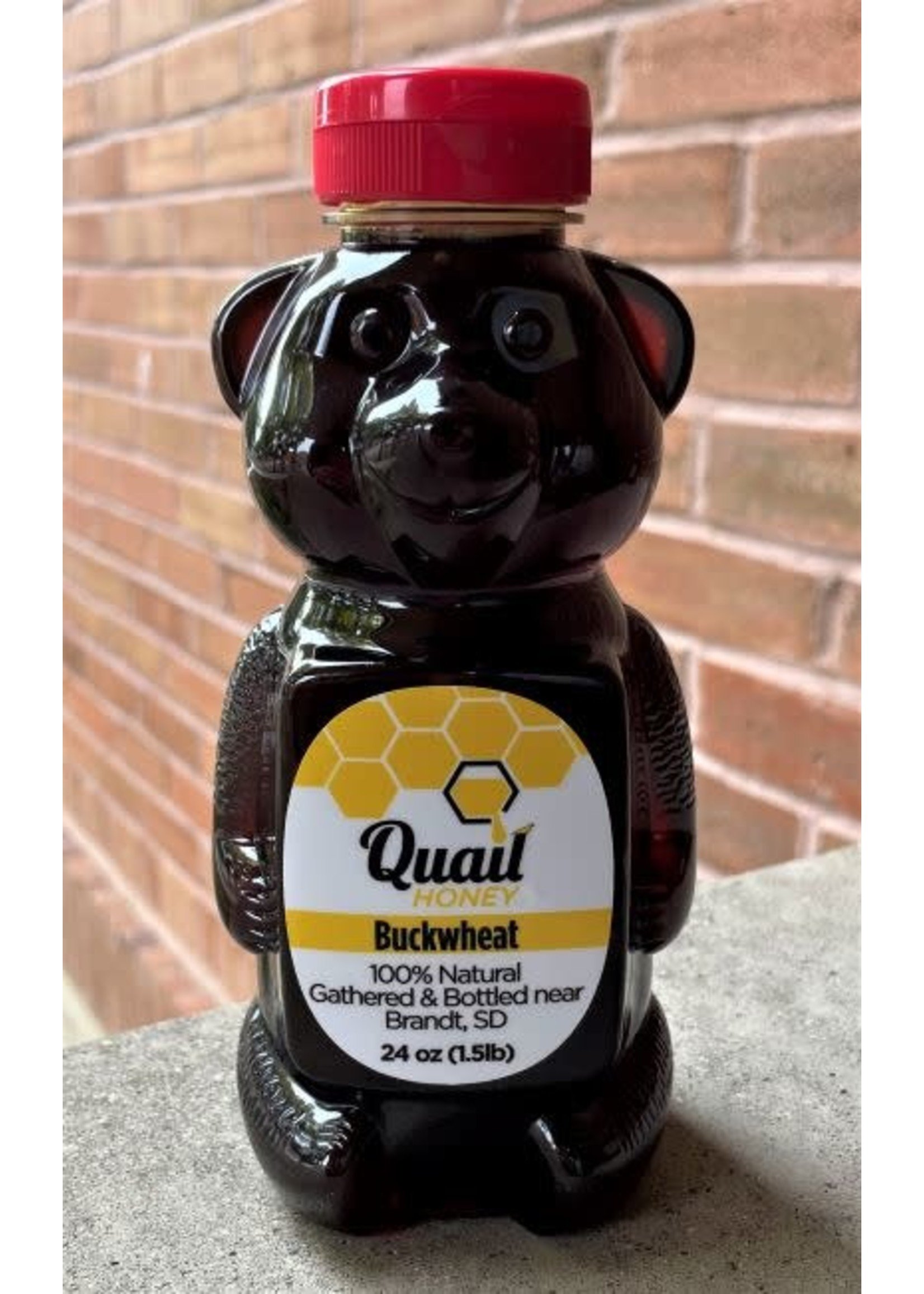 Quail Honey Quail Honey Bear 24 oz