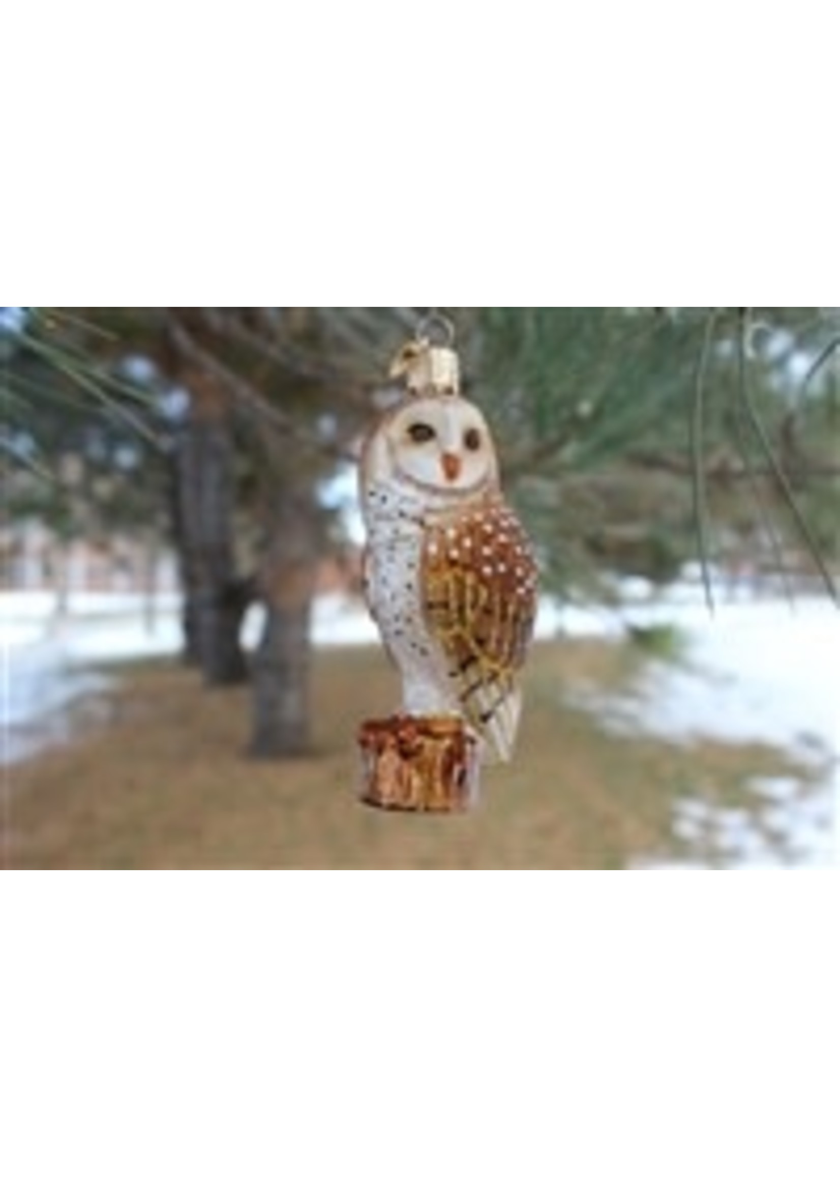 Old World Christmas OWC Barn Owl Orna