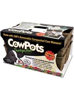 Cowpots SixCell flat 3-pack
