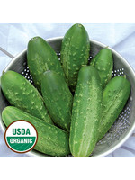 Seed Savors Exchange Russian Pickling Cucumber Seeds