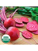 Seed Savors Exchange Chioggia Beet Seeds