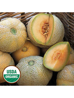 Seed Savors Exchange Minnesota Midget Melon Seeds