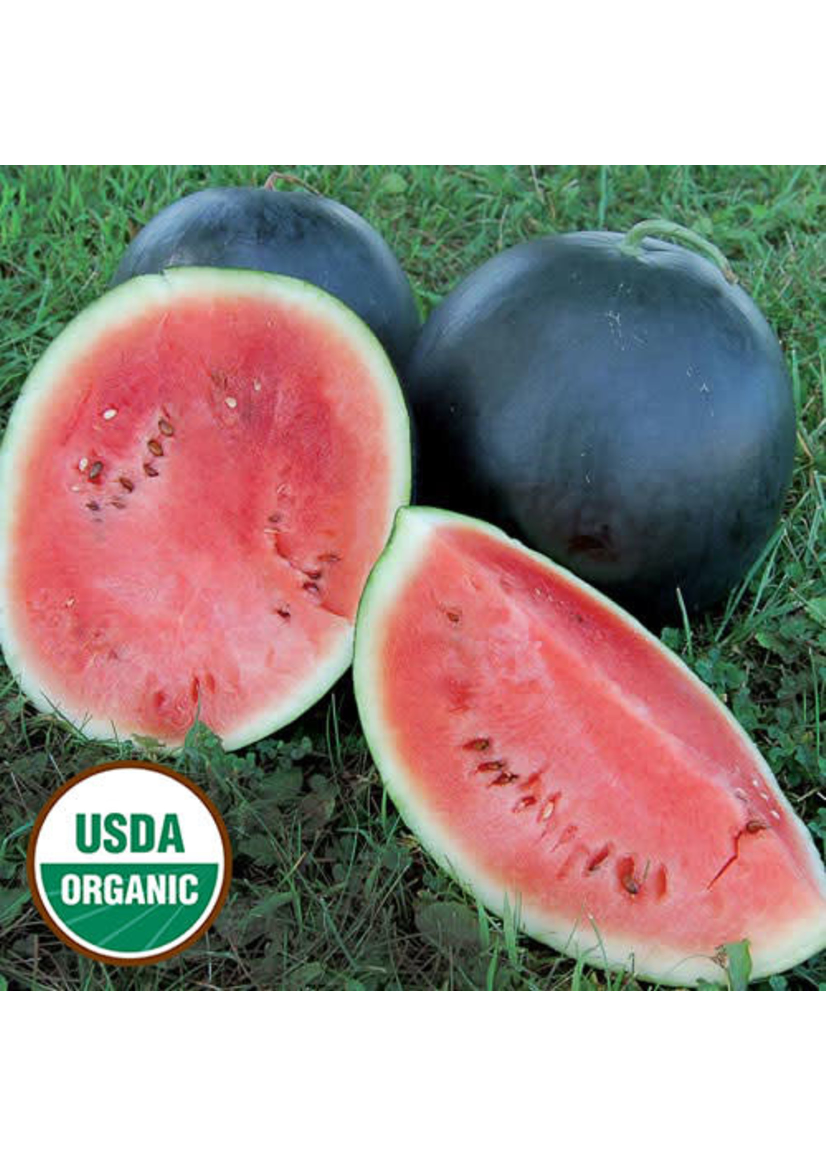 Seed Savors Exchange Seed Savers Blacktail Mountain Watermelon Seeds